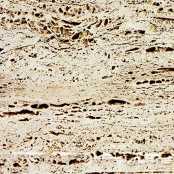 Портал Durero, Travertino Classico (Crumar)